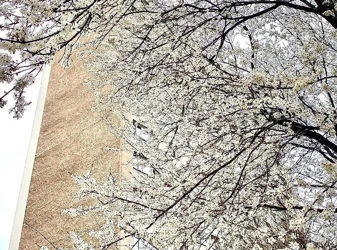 Mieszkanie 2 Pok 2 Min Do Morza Zoppot